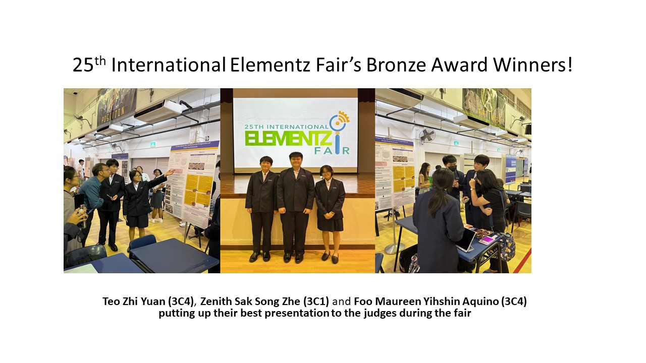 25th International Elementz Fair